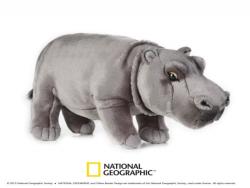 National Geographic Hipopotam