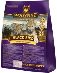Wolfsblut Black Bird Puppy Large Breed 15 kg