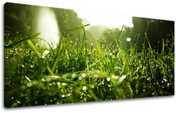  Falfestmény PANORÁMA NÖVÉNYEK RA001E13