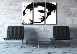  Kézzel festett POP Art festmény ELVIS 3 darab el | különböző méretek