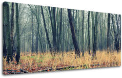 Falikép PANORÁMA FÁK ST019E13 (modern vászonképek)