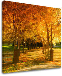  Falfestés TREES ST020E12