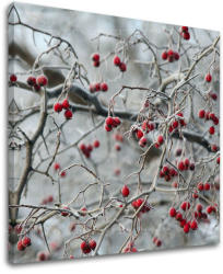 Falfestés TREES ST006E12