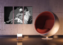 Kézzel festett vászonképek POP Art Miles Davis md (POP ART)