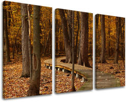  3-részes falfestés TREES ST018E30