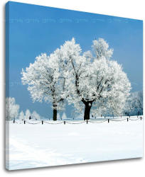  Falfestés TREES ST028E12