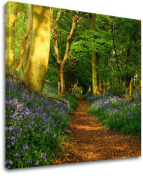 Falfestés TREES ST009E12