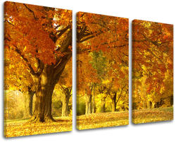  3-részes falfestés TREES ST022E30