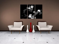 Kézzel festett POP Art festmény Oasis 3 darab oa2 | különböző méretek