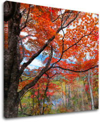 Falfestés TREES ST012E12