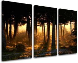  3-részes falfestés TREES ST025E30