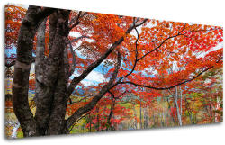  Falfestmény PANORÁMA FÁK ST012E13