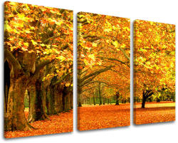  3-részes falfestés TREES ST010E30