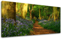  Falfestmény PANORÁMA FÁK ST009E13