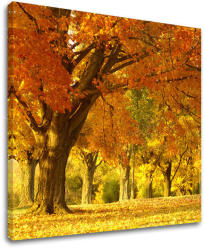  Falfestmény TREES ST027E12