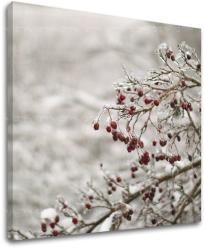 Falfestés TREES ST007E12