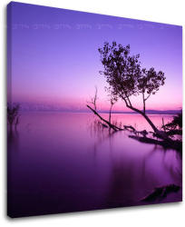  Fali festés WEST WEST SLNKA ZS006E12