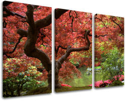 3-részes falfestés TREES ST001E30