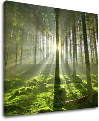 Falfestés TREES ST021E12