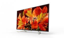 Sony Bravia FW-55BZ35F