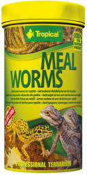 Tropical Meal Worms Larvele Uscate Pentru Reptile 100 ml/13 g