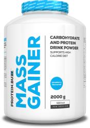 PROTEIN.BUZZ Mass Gainer 2000 g