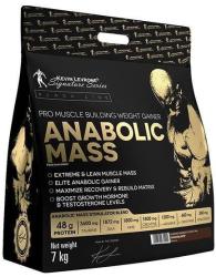 Kevin Levrone Signature Series Anabolic Mass 7000 g