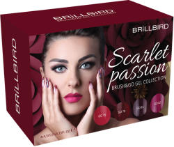 BRILLBIRD Scarlet Passion Brush&Go Gel Készlet