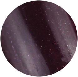 Brillbird Brush&Go színes zselé - GO 81 - 4, 5ml TF