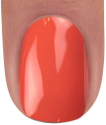 BRILLBIRD Brush&Go színes zselé - GO 04 - 4, 5ml