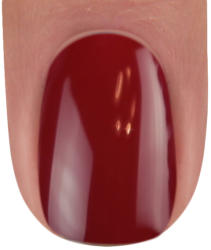 BrillBird Color gél lakk C01 - 5ml