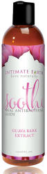 Intimate Earth Soothe Anal Lubricant 120ml