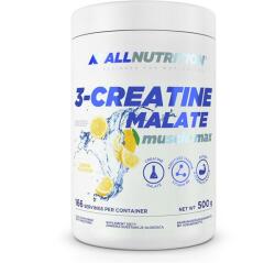 ALLNUTRITION 3-Creatine Malate 500 g