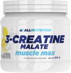 ALLNUTRITION 3-Creatine Malate 250 g