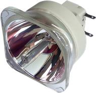 Optoma BL-FU310A (FX. PM584-2401) lampă compatibilă fără modul (FX.PM584-2401)