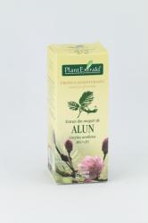 PlantExtrakt Extract din Muguri de Alun, 50 ml, Plant Extrakt