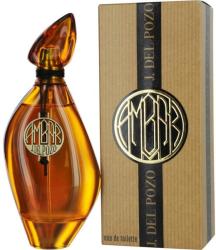Jesus Del Pozo Ambar EDT 100 ml