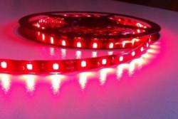 Kamar PL Rola banda LED 12V Rosie Rezistenta la apa 5 M (62166201)