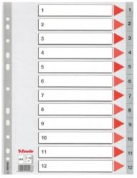 Esselte Index din plastic, A4, index 1-12, Esselte E100106 (100106)