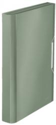 Leitz Mapa A4 tip proiect 250 coli Style Leitz fistic E39570053 (39570053)