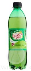 Canada Dry (0,5l)