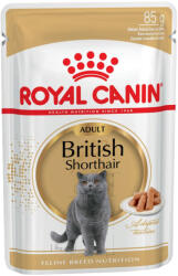 Royal Canin 24x85g Royal Canin British Shorthair Adult szószban nedves macskatáp