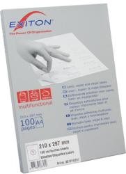 Exiton Etichete color autoadezive 16/A4, 105 x 37 mm, 100 coli/top, EXITON - albastru 16/A4 albastru A4 100 coli/top Etichete autocolante (31610503720)