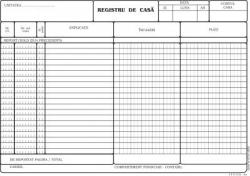 Formulare tipizate Registru casa autocopiativ, format A4, 50 set/ carnet A4 (NL-011736)