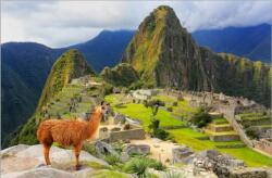 Educa Machu Picchu, Peru 1000 (edu_13764)