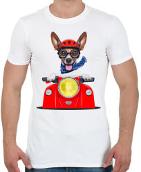 printfashion Jack Russel motorozik - Férfi póló - Fehér (1021064)