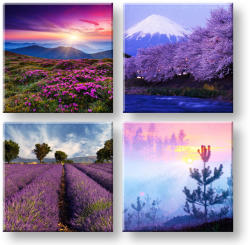  Falfesték Mindenhol lila 4 részes XOBKOL21E42