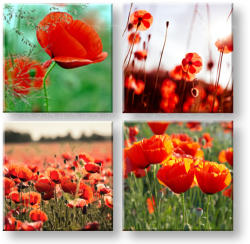  Falfestmény Mákos pipacsok rétje 4 részes XOBKOL17E42
