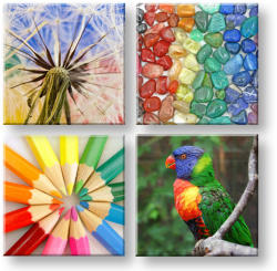  Falfestmény Színes vibrálás 4 rész XOBKOL20E42