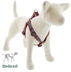 Lupine Pet Step-in hám (El Paso 2, 5 cm széles 61-96 cm) (WLF91569)